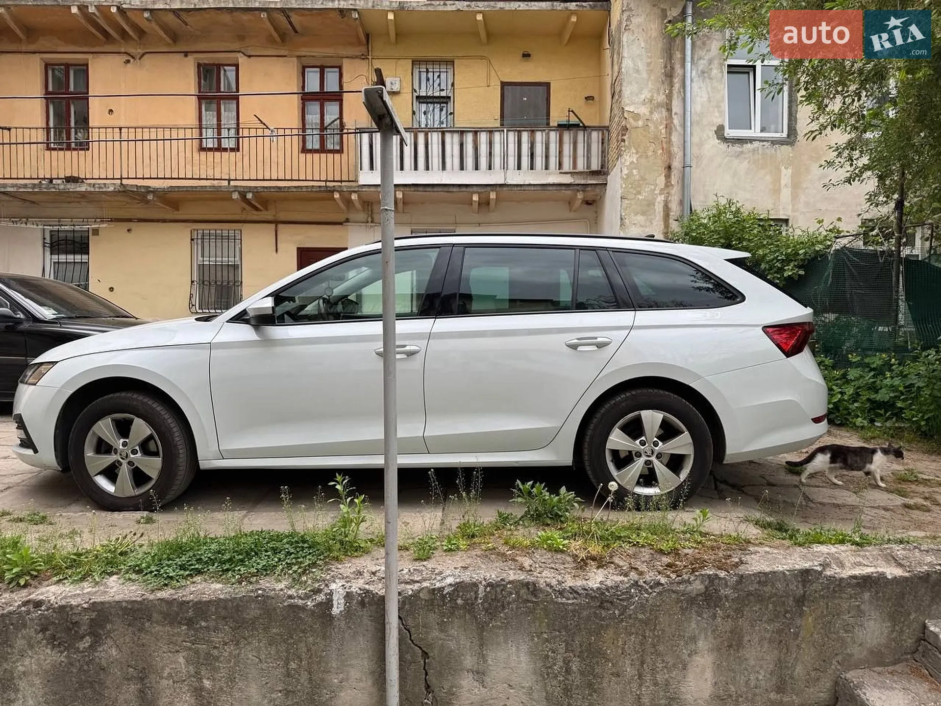2021 Skoda Octavia - мініатюра 9