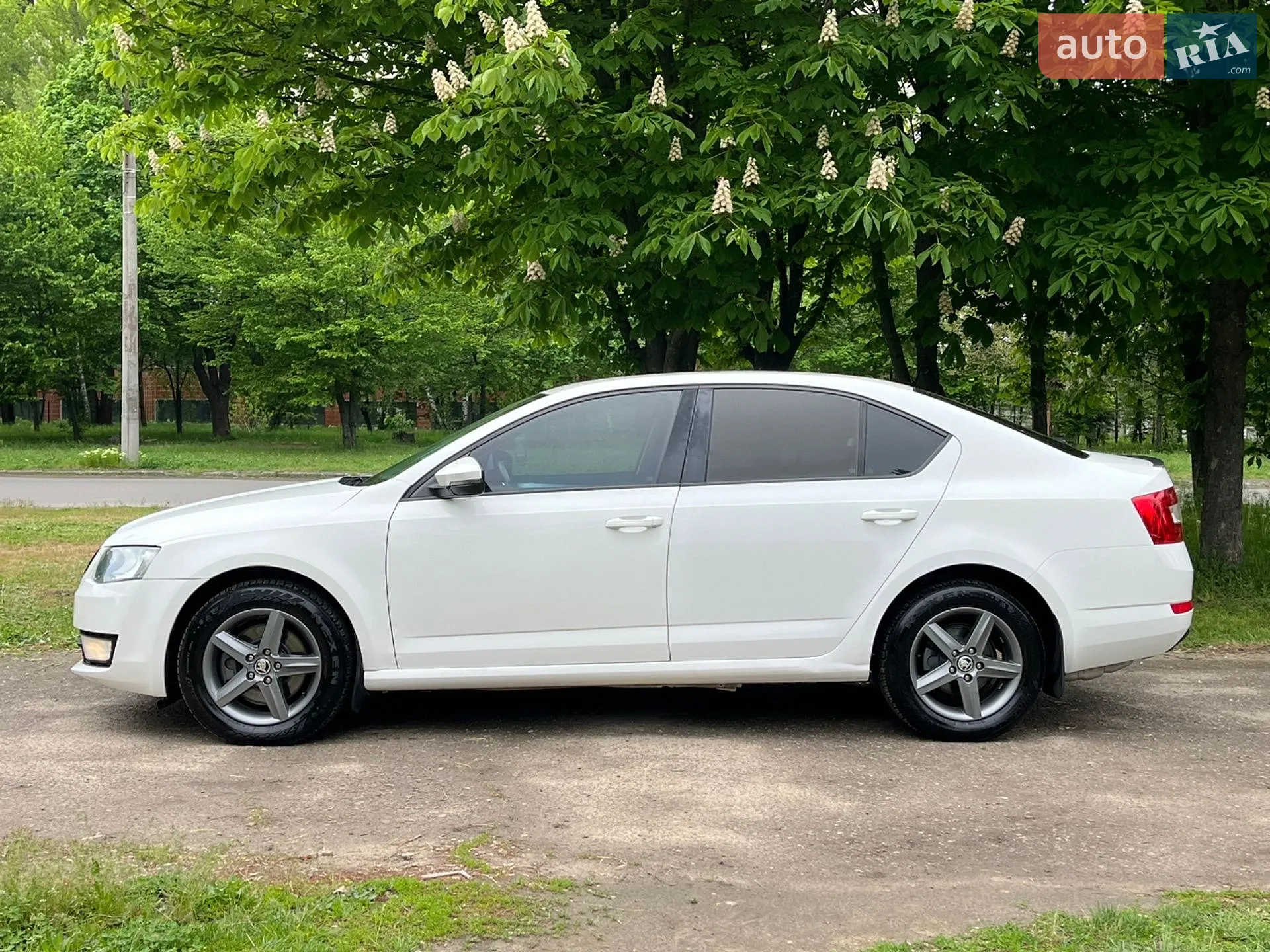 2013 Skoda Octavia - мініатюра 7