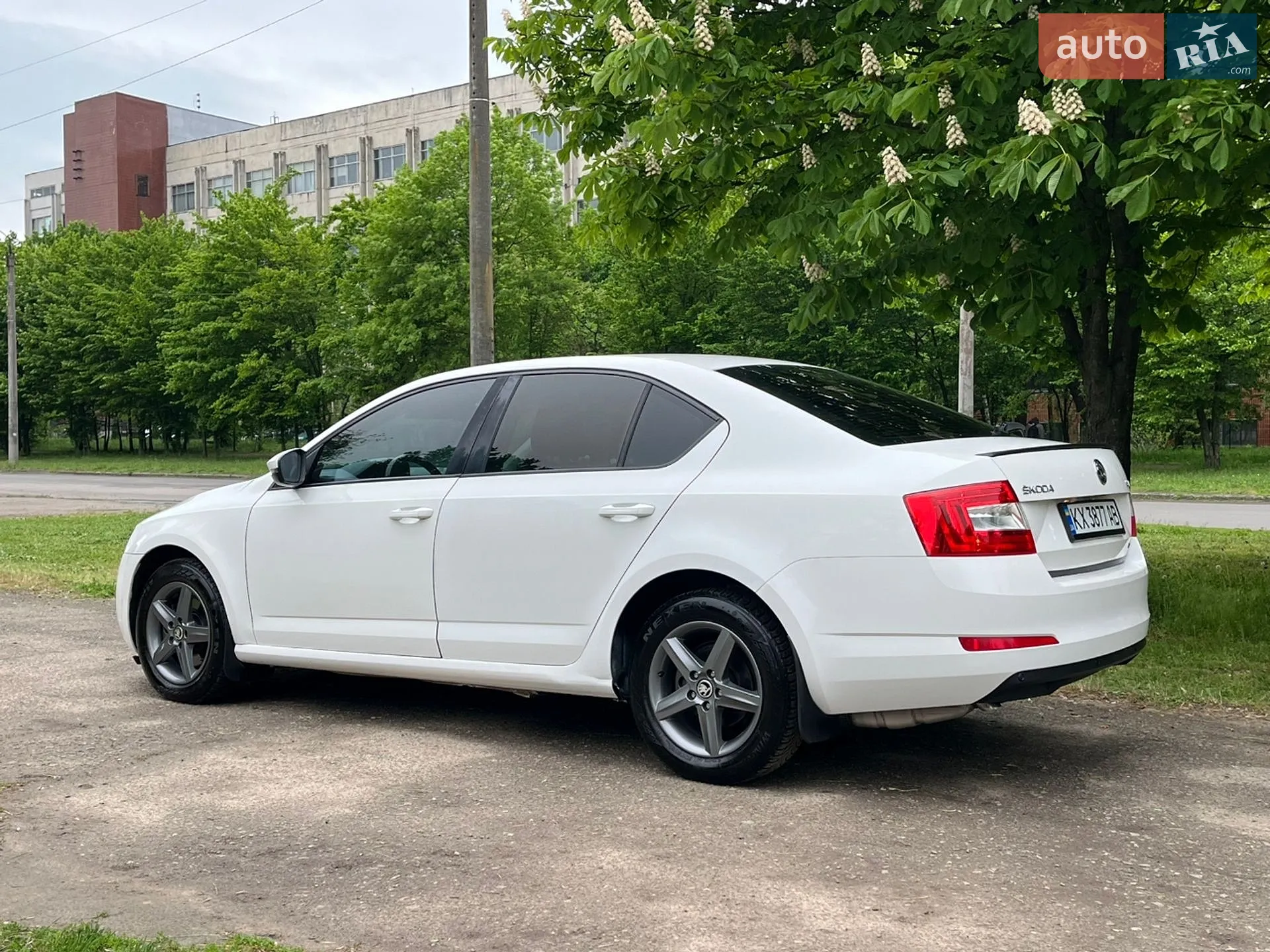 2013 Skoda Octavia - мініатюра 10