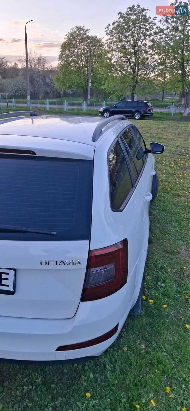 2014 Skoda Octavia - мініатюра 9