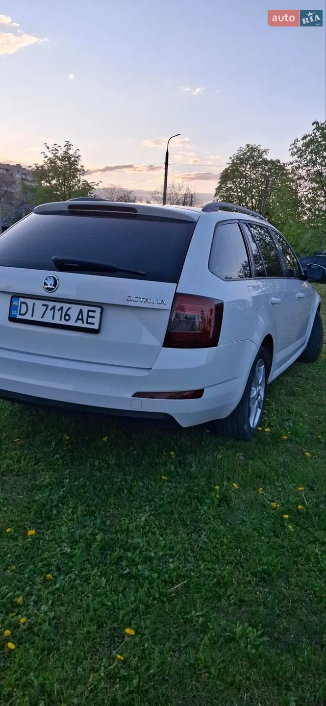2014 Skoda Octavia - мініатюра 11