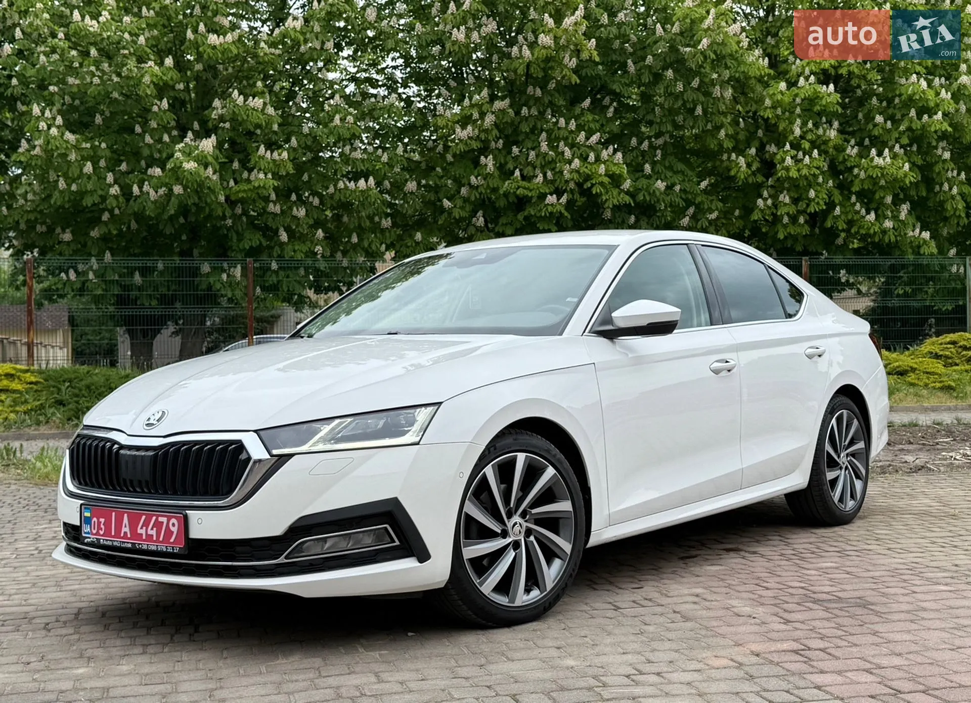 2020 Skoda Octavia - мініатюра 2