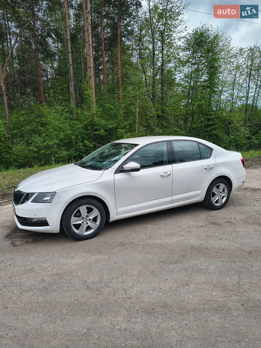 2017 Skoda Octavia - мініатюра 3