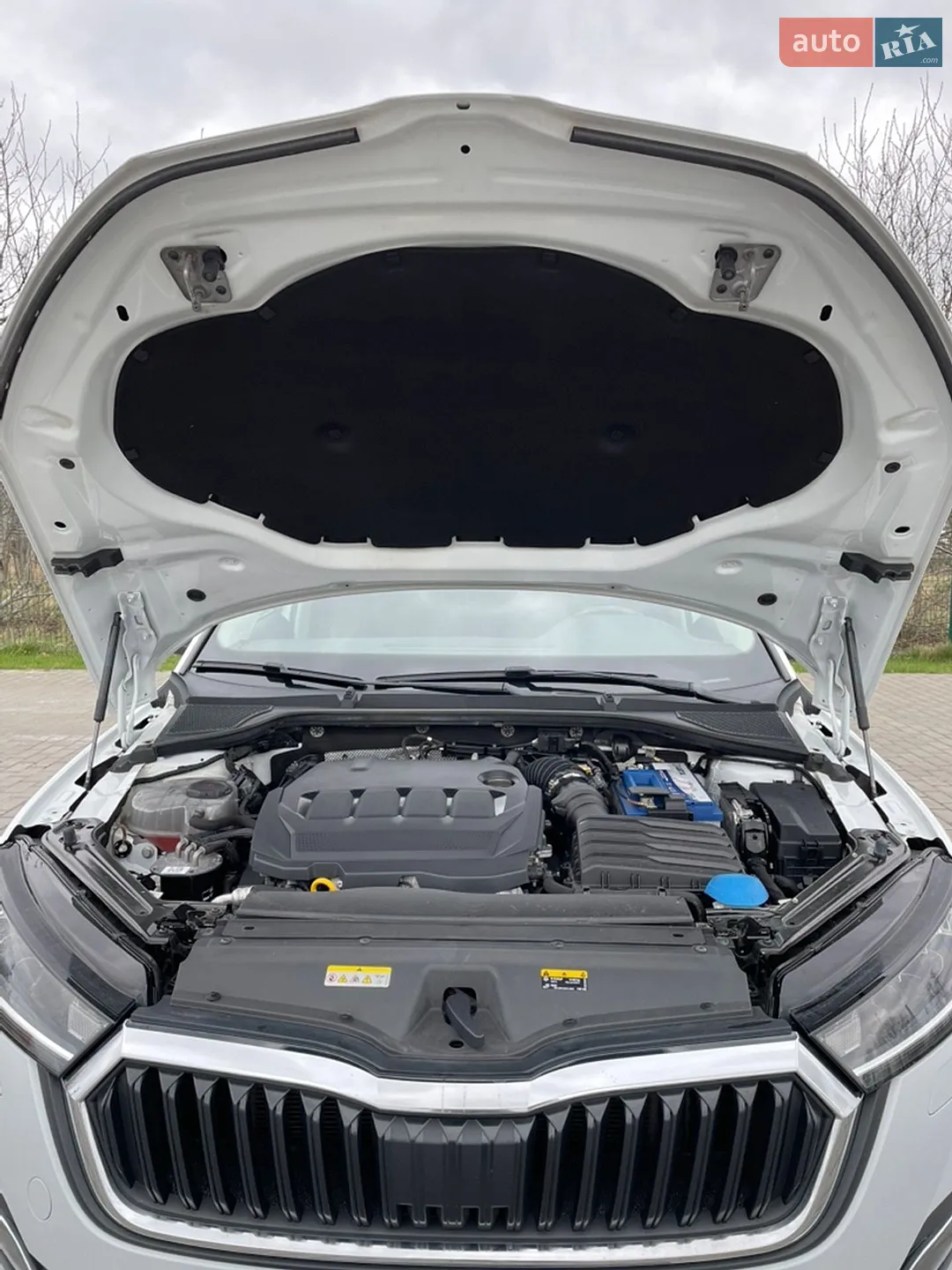 2020 Skoda Octavia - мініатюра 19