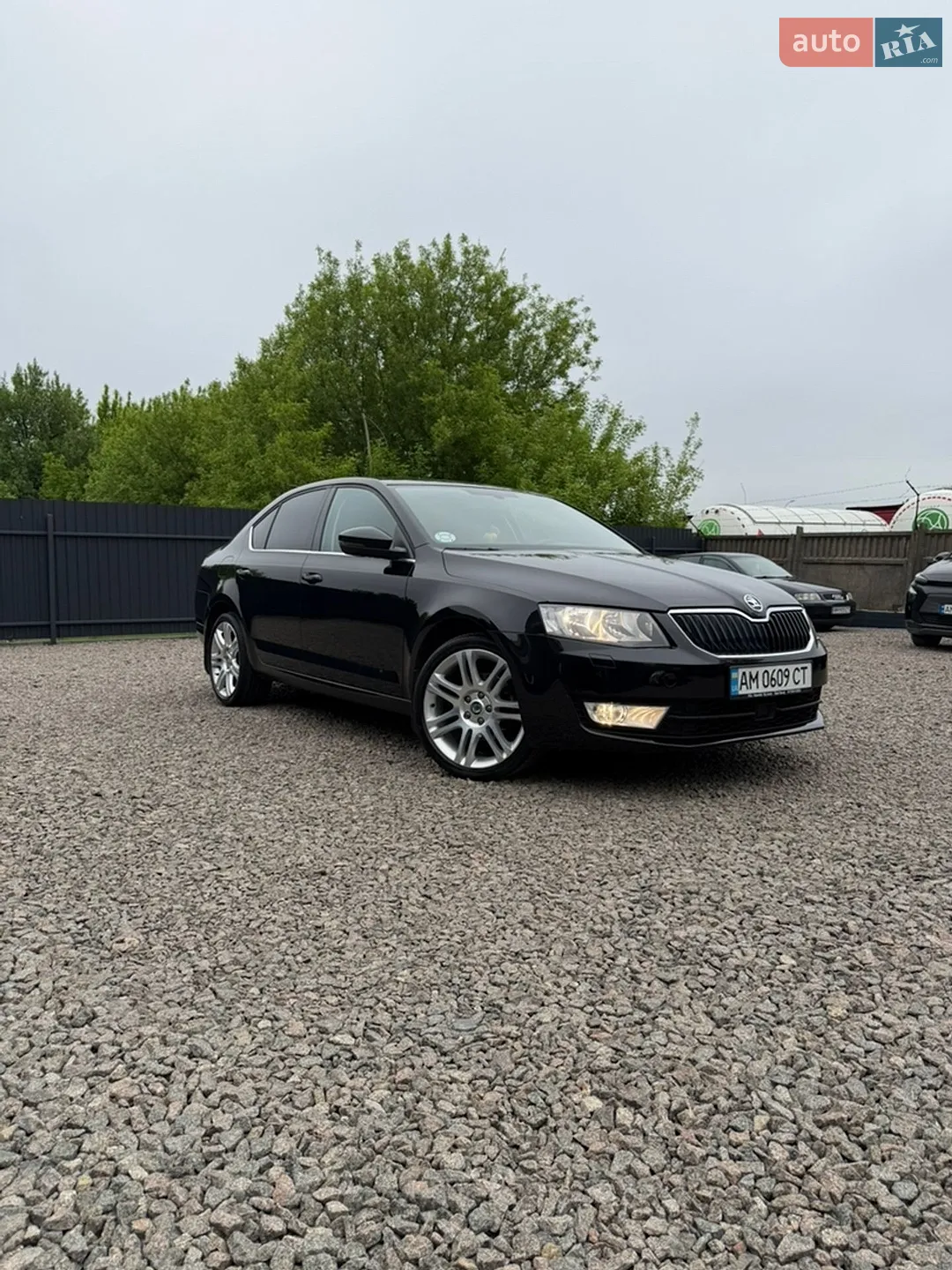 2015 Skoda Octavia - мініатюра 3