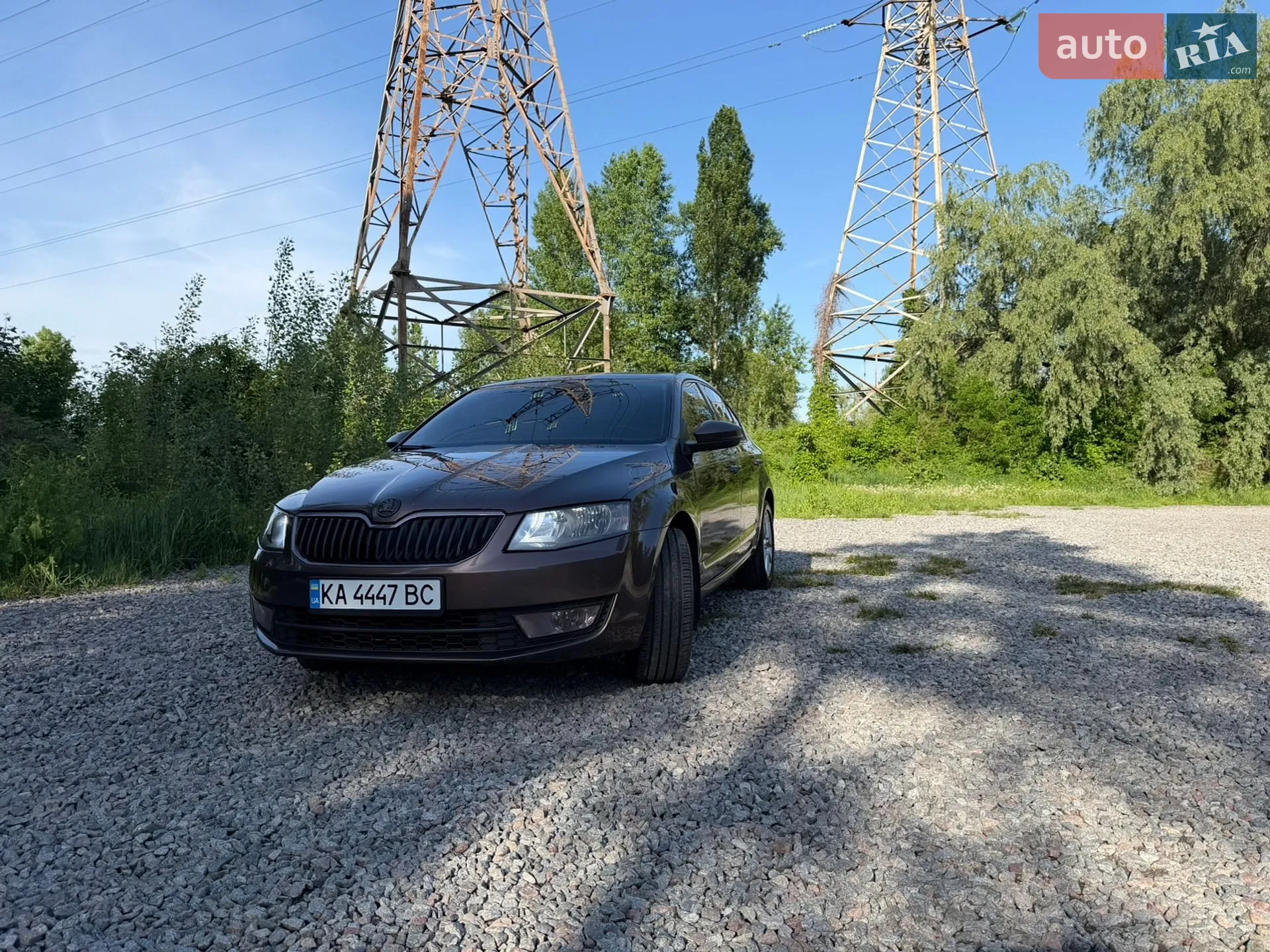 2013 Skoda Octavia - фото 1