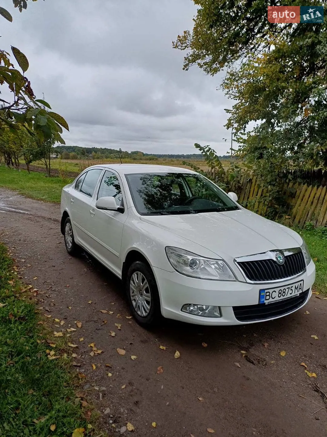2011 Skoda Octavia - мініатюра 2