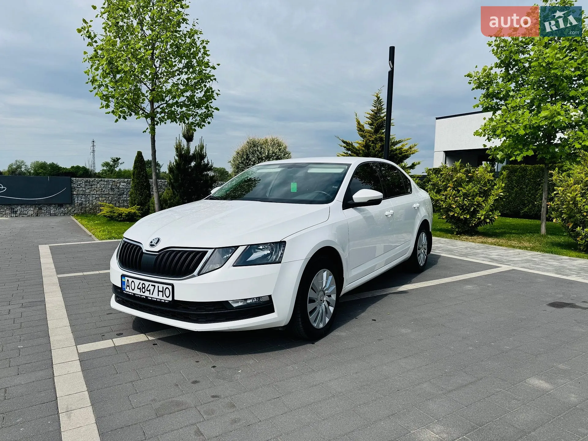 2017 Skoda Octavia - мініатюра 5