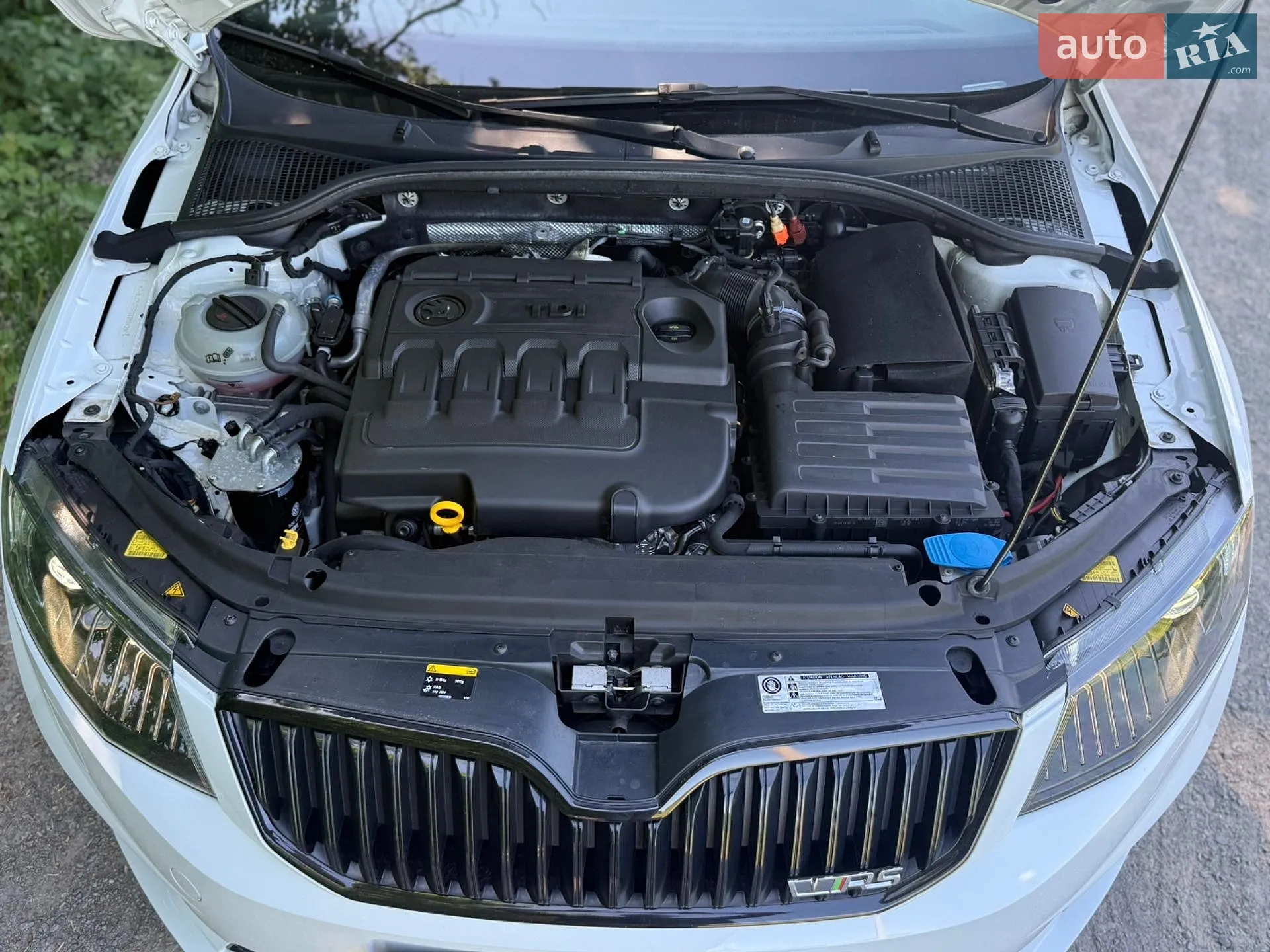 2016 Skoda Octavia - мініатюра 13