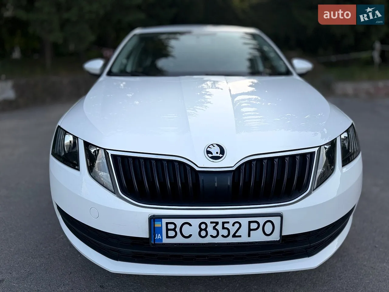2019 Skoda Octavia - мініатюра 53