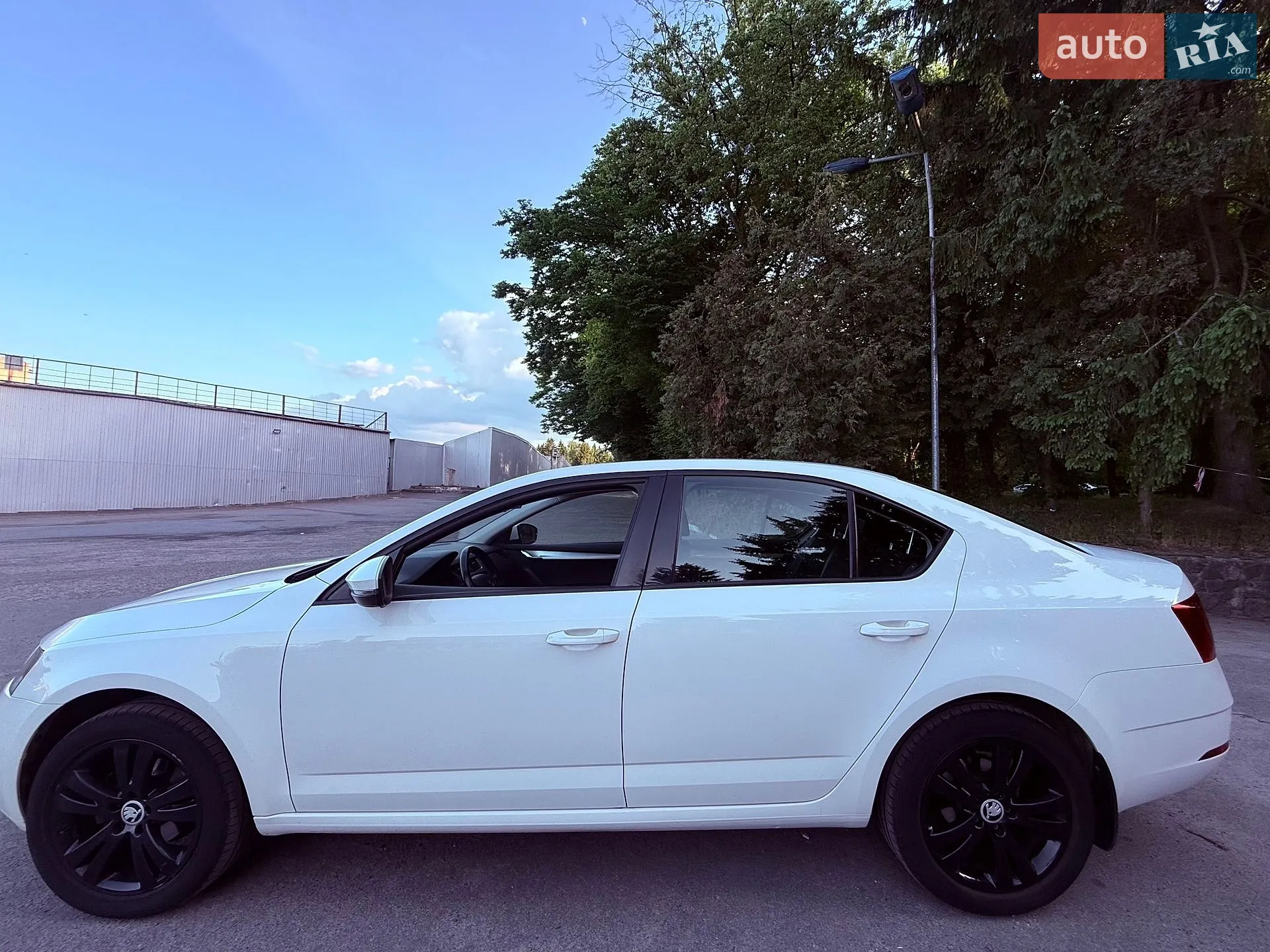 2019 Skoda Octavia - мініатюра 3