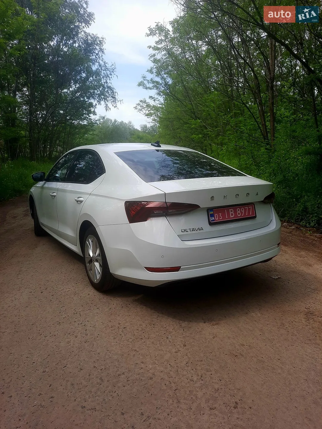 2020 Skoda Octavia - мініатюра 7