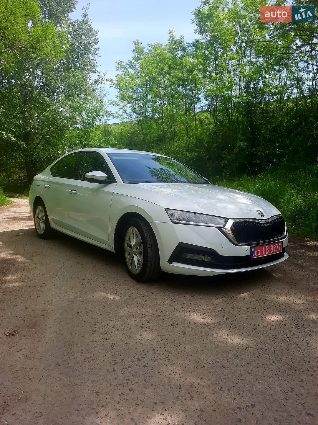 2020 Skoda Octavia - мініатюра 13