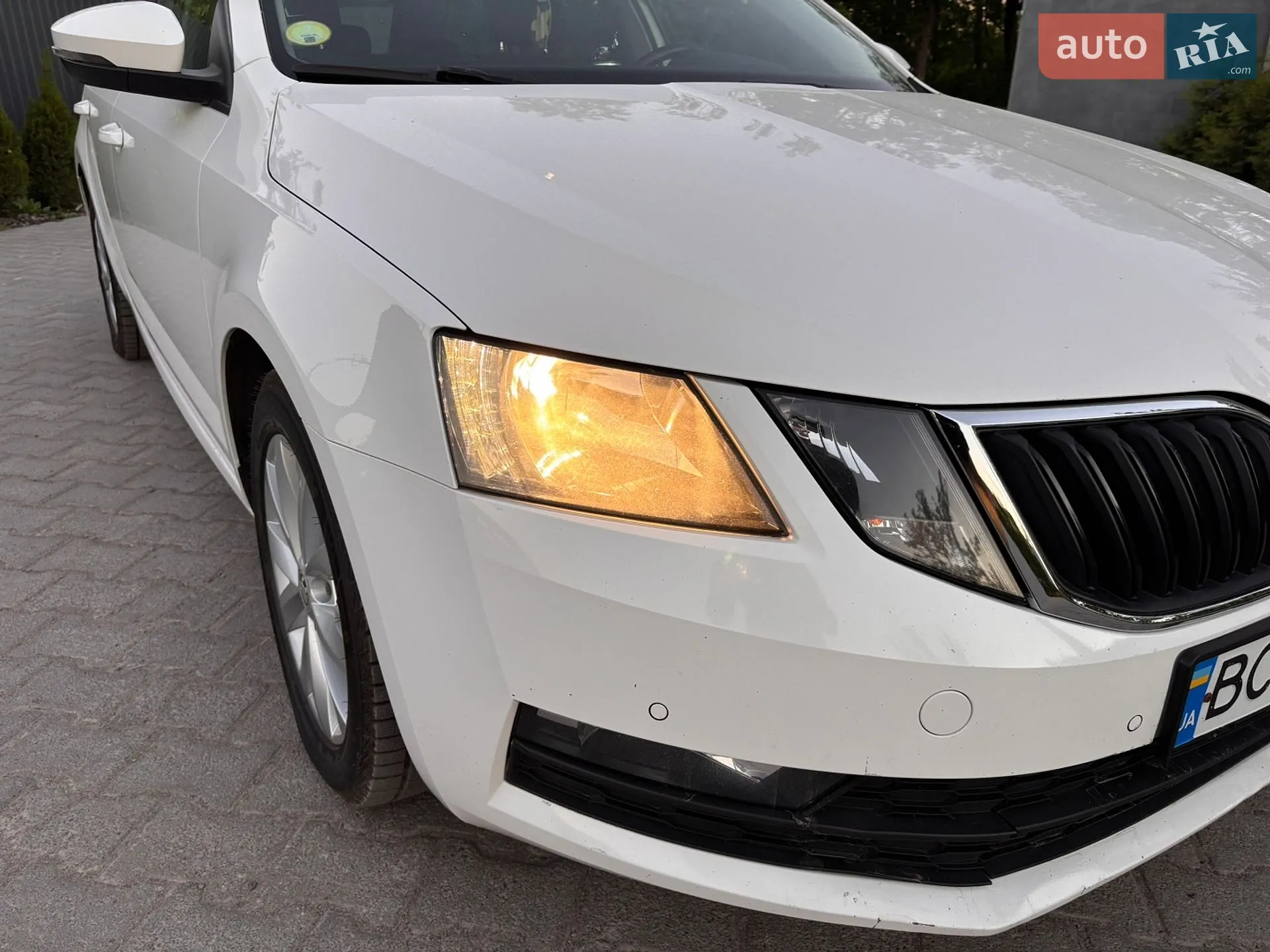 2019 Skoda Octavia - мініатюра 8