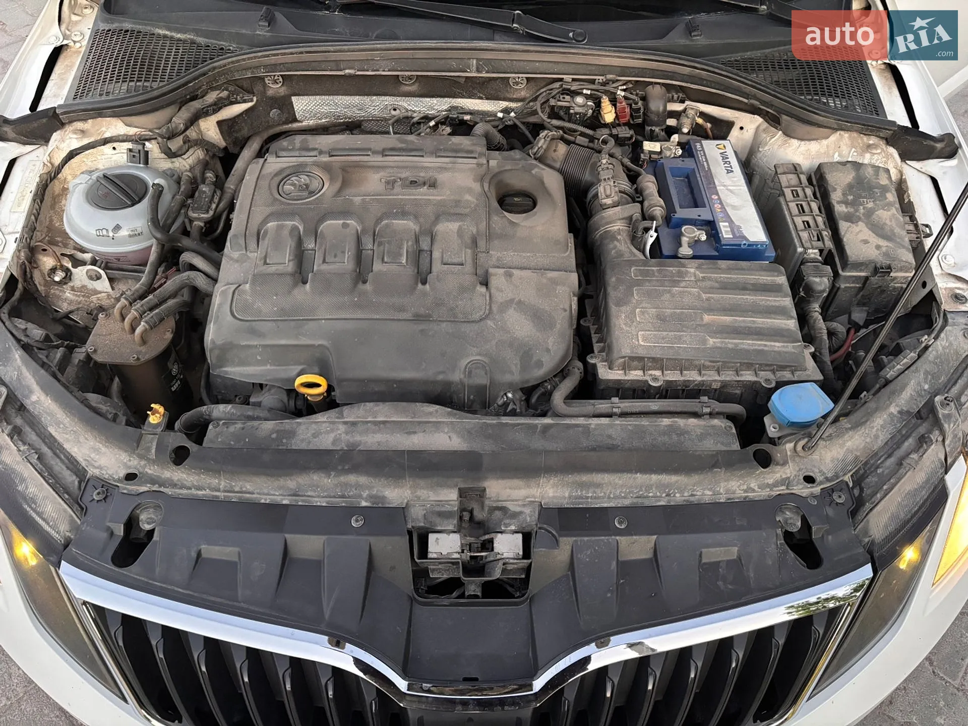 2019 Skoda Octavia - мініатюра 84