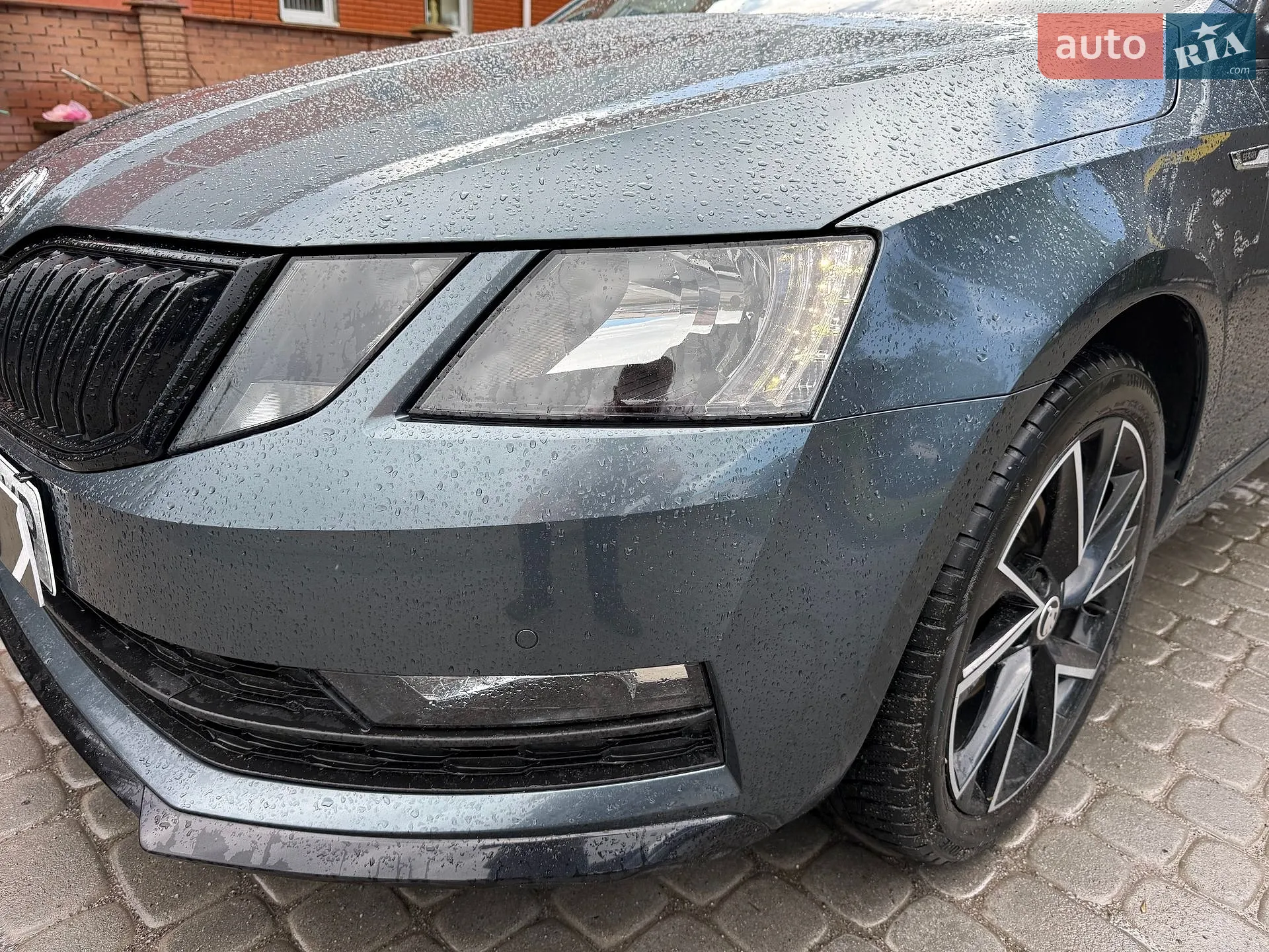 2019 Skoda Octavia - мініатюра 29
