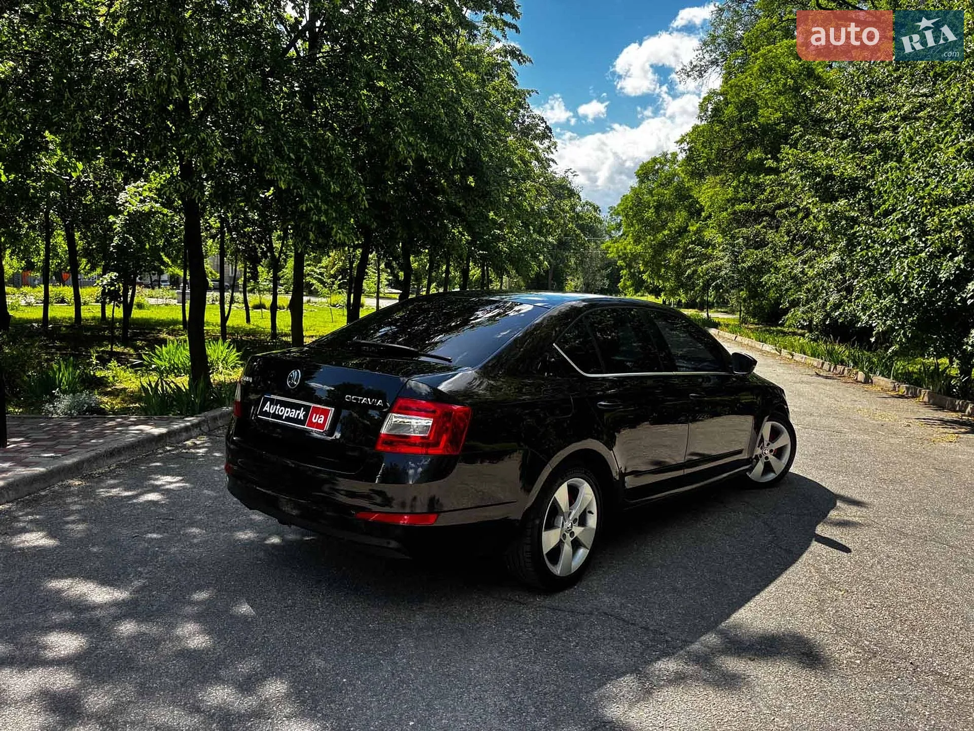 2014 Skoda Octavia - мініатюра 5