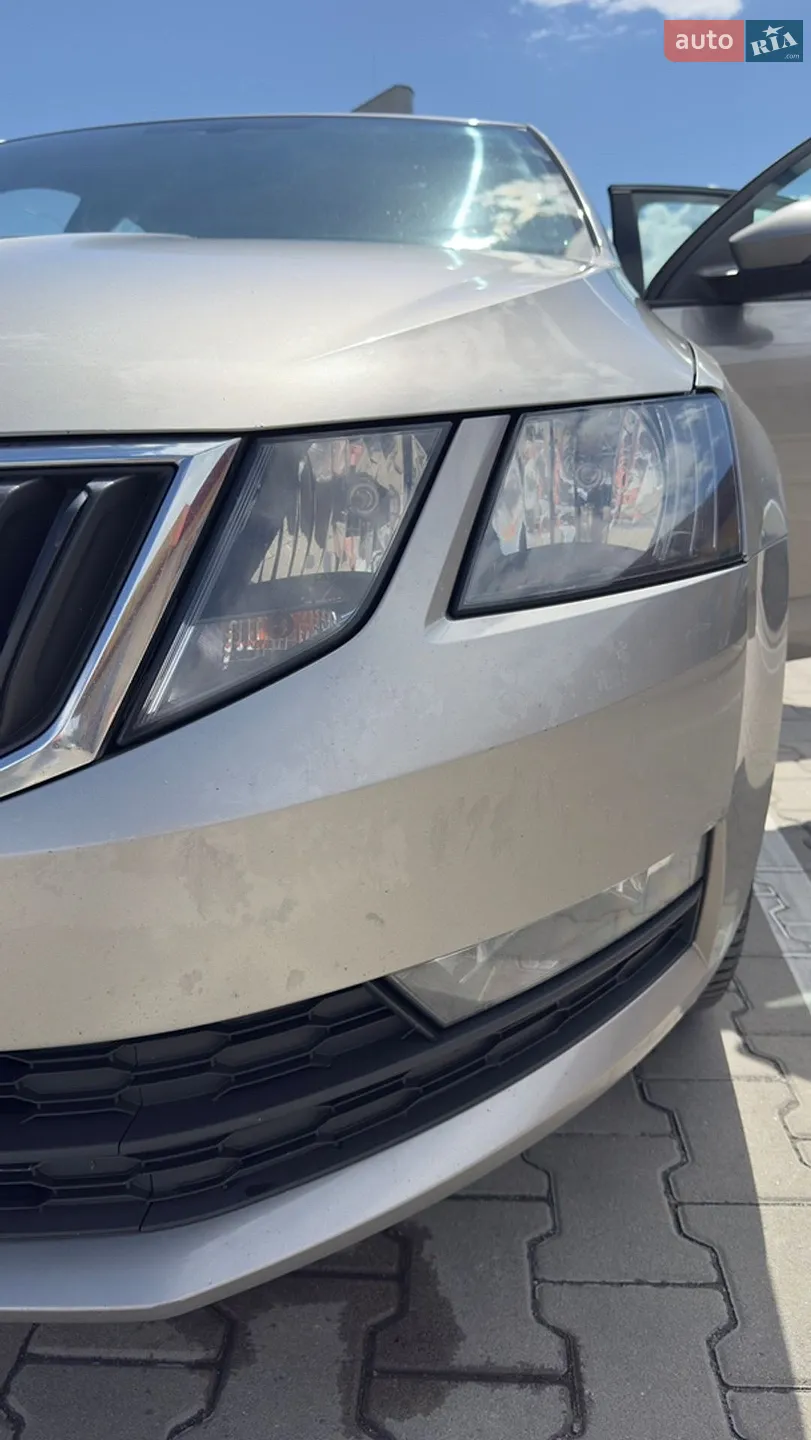 2017 Skoda Octavia - мініатюра 10
