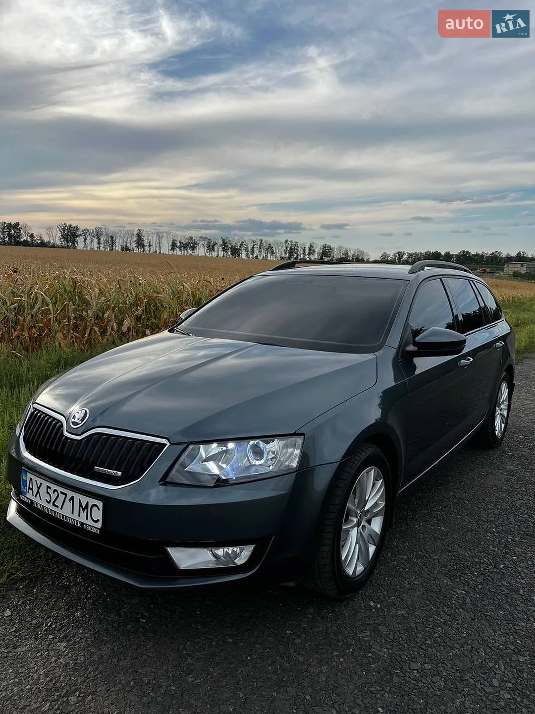 2014 Skoda Octavia - мініатюра 2