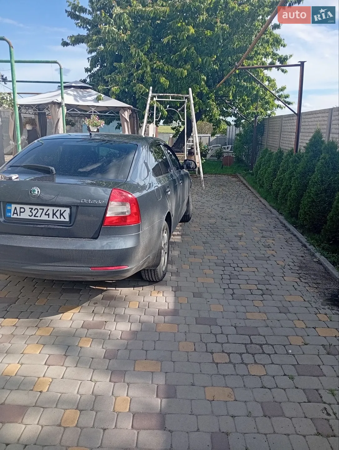 2010 Skoda Octavia - мініатюра 13