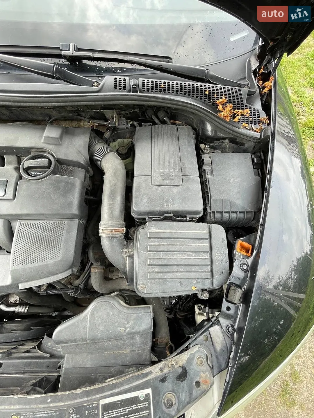 2019 Toyota Land Cruiser - мініатюра 71