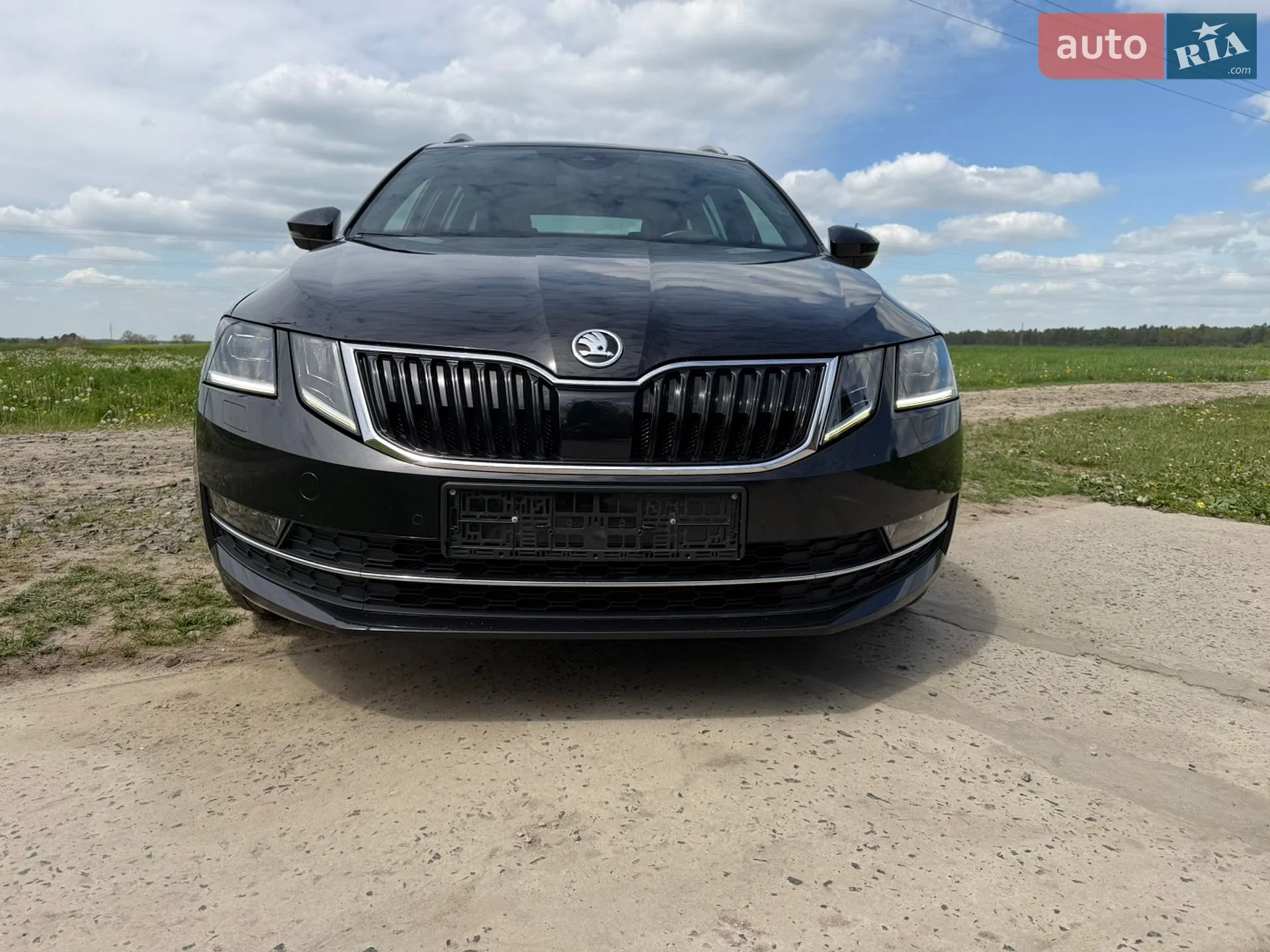 2019 Skoda Octavia - мініатюра 9