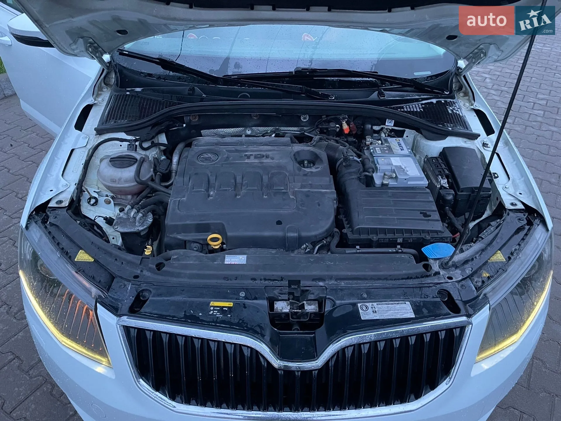 2015 Skoda Octavia - мініатюра 10