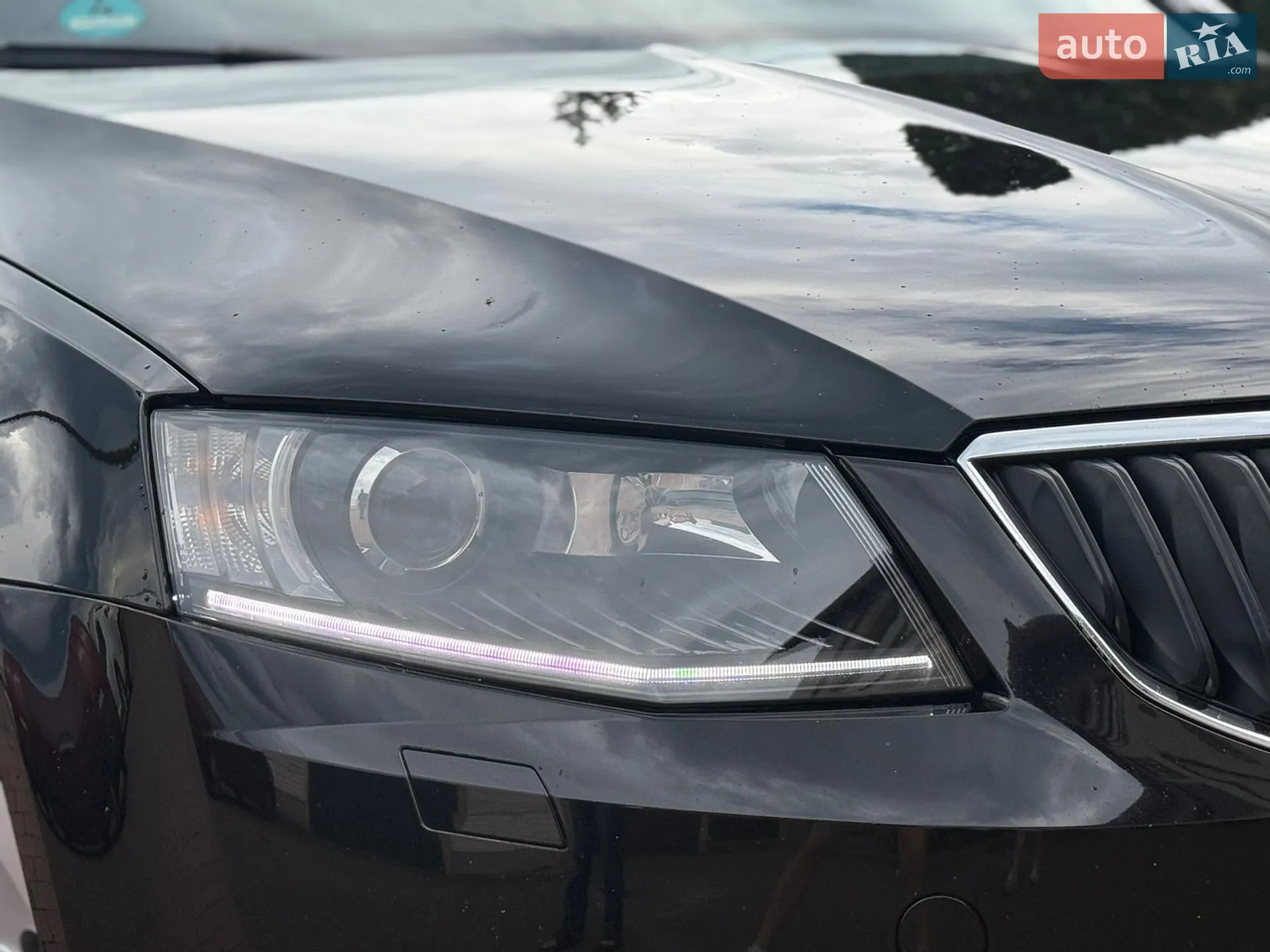 2017 Skoda Octavia - мініатюра 19