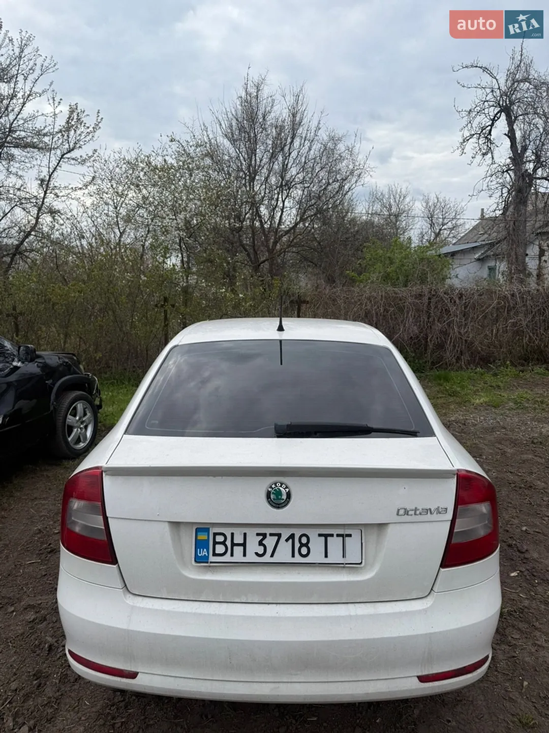 2012 Skoda Octavia - мініатюра 5