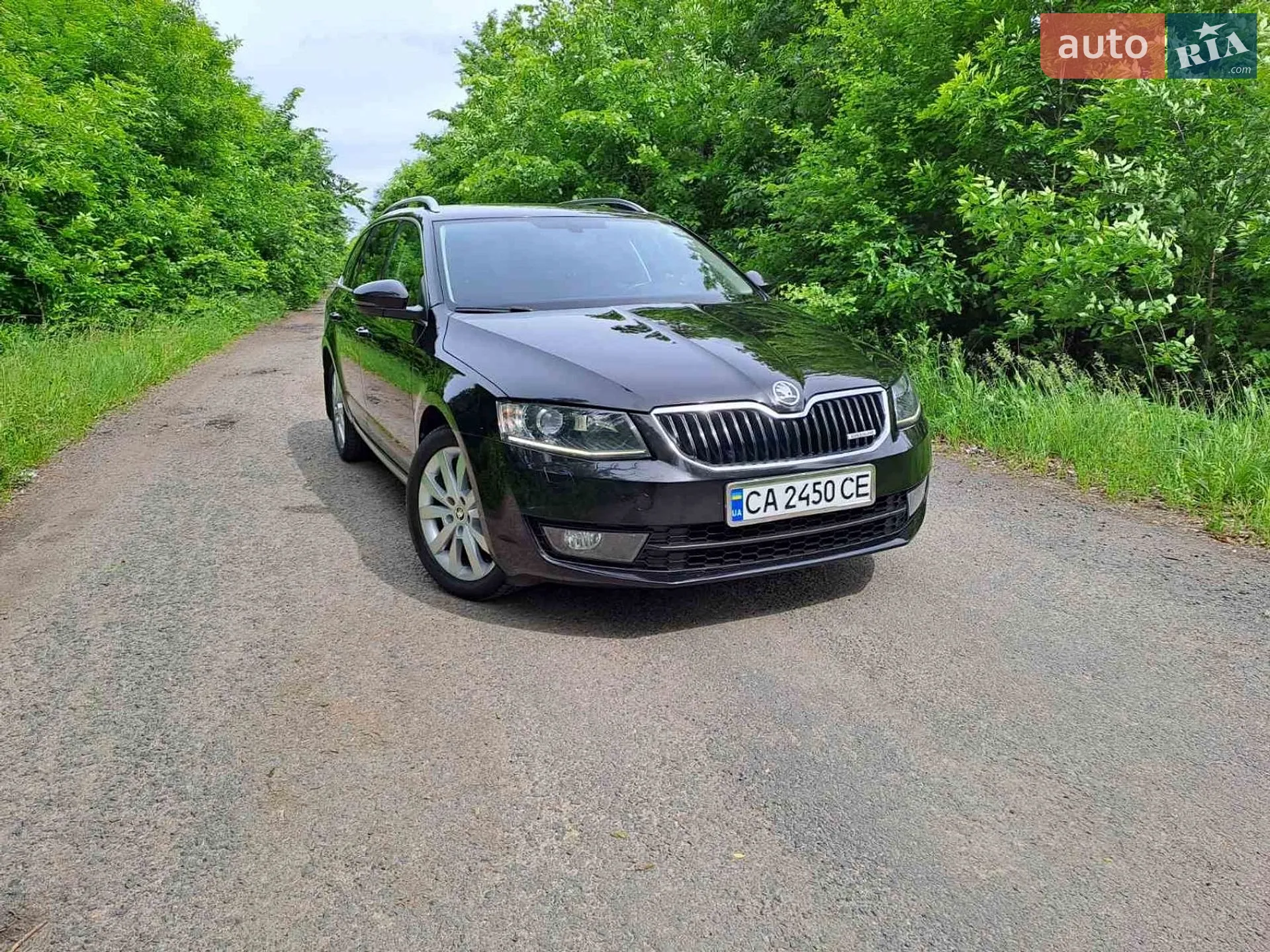 2014 Skoda Octavia - мініатюра 23