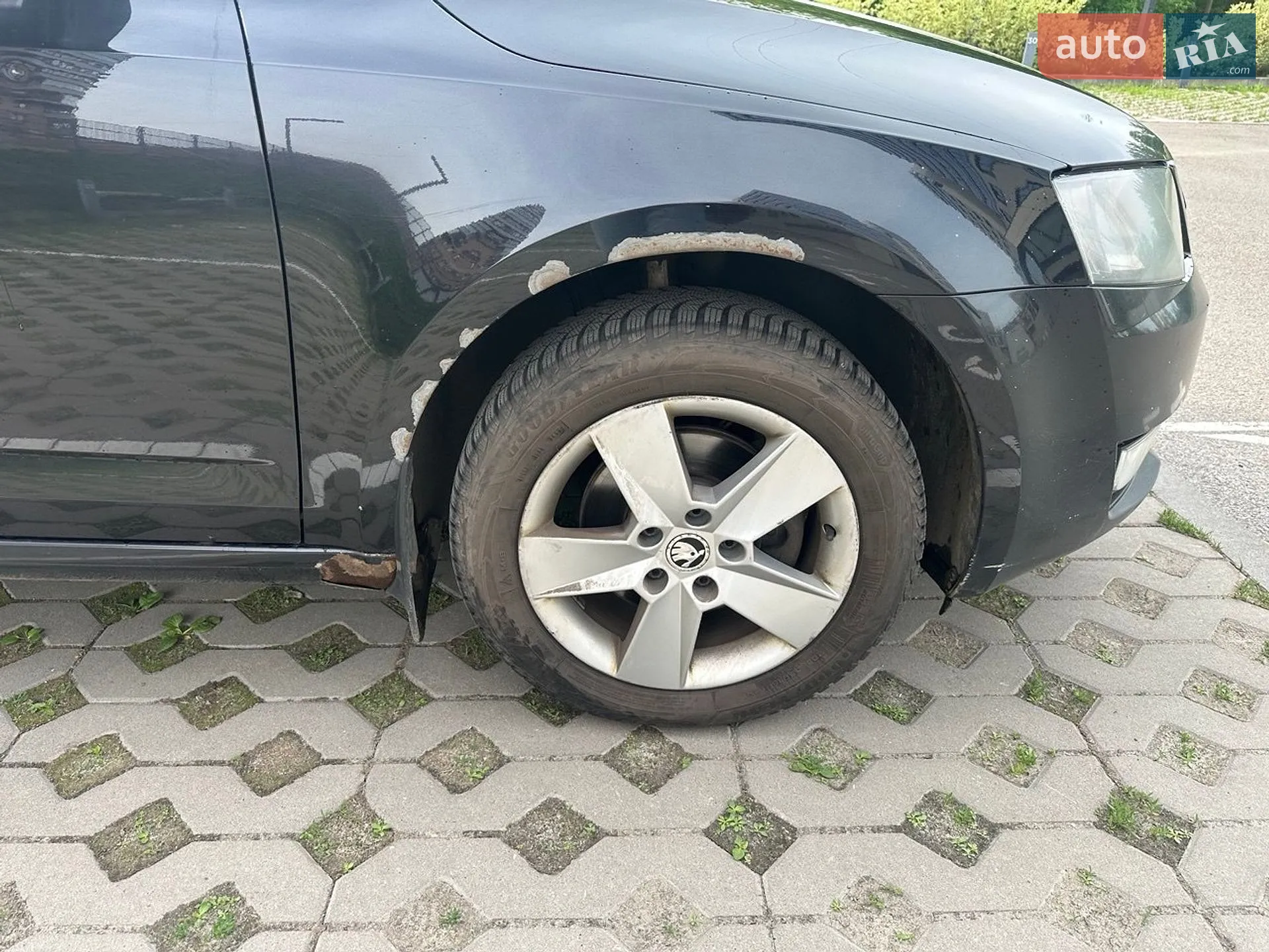 2014 Skoda Octavia - мініатюра 11