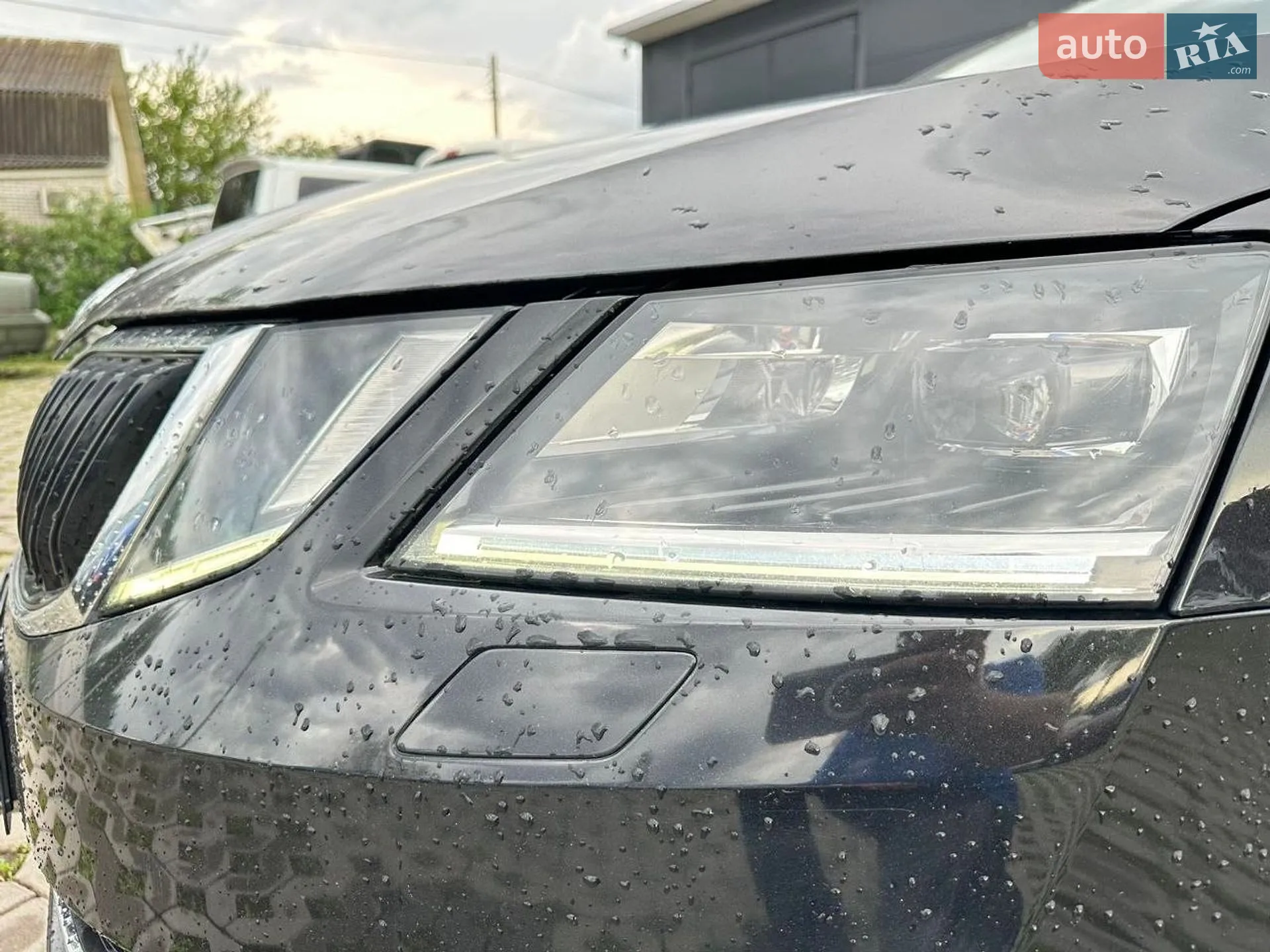 2018 Skoda Octavia - мініатюра 6