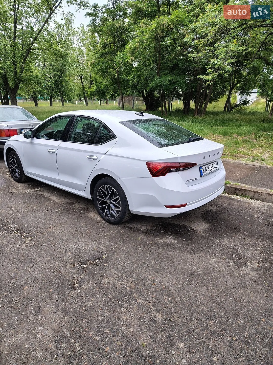2020 Skoda Octavia - мініатюра 5