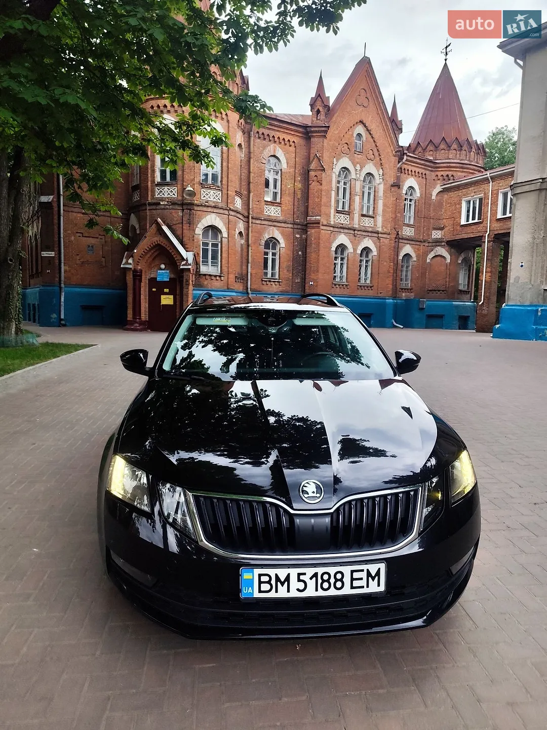 2019 Skoda Octavia - мініатюра 6