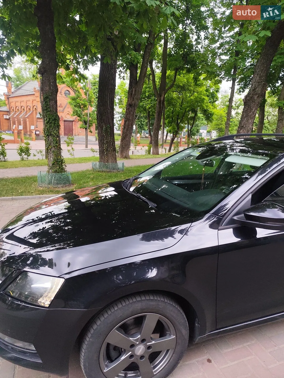 2019 Skoda Octavia - мініатюра 9