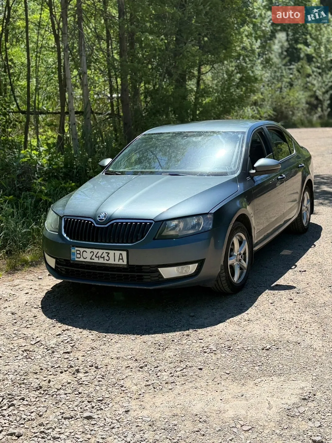 2014 Skoda Octavia - фото 1
