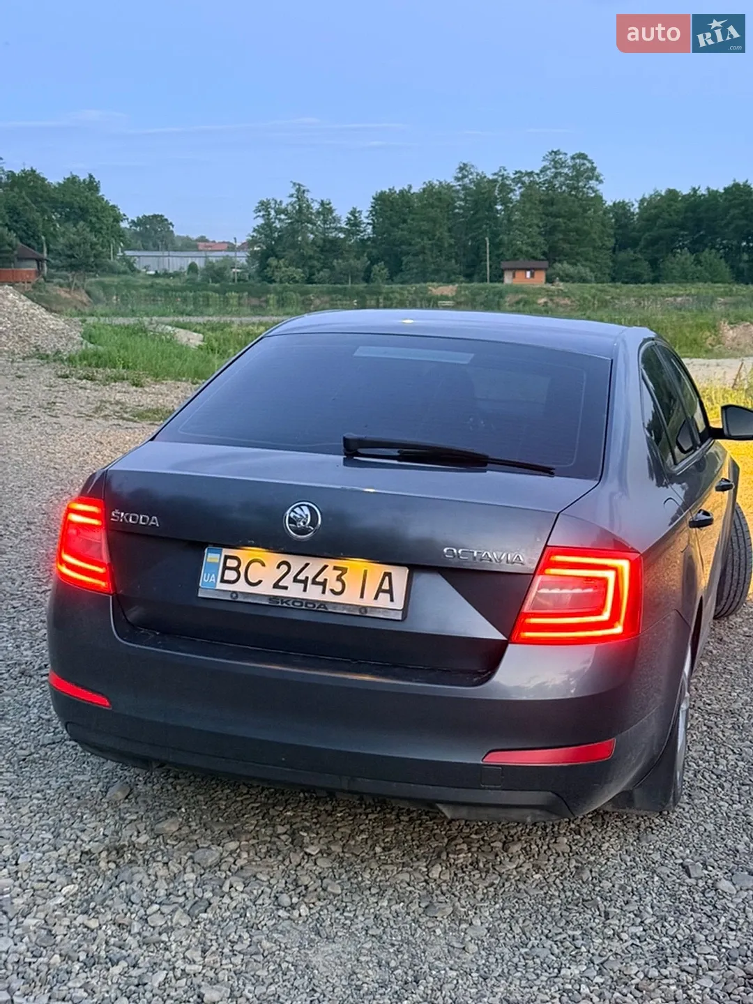 2014 Skoda Octavia - мініатюра 5