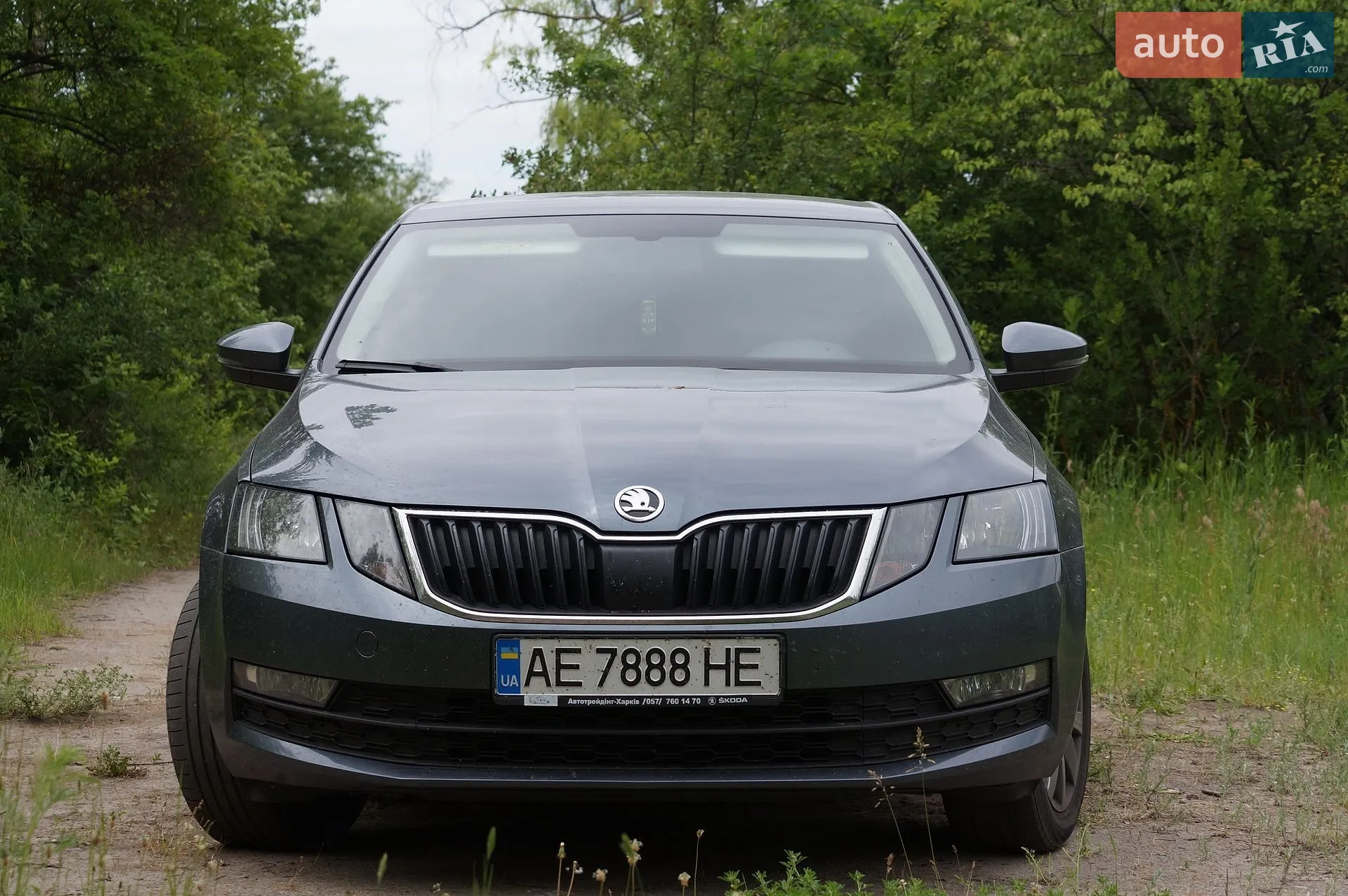 2020 Skoda Octavia - фото 1