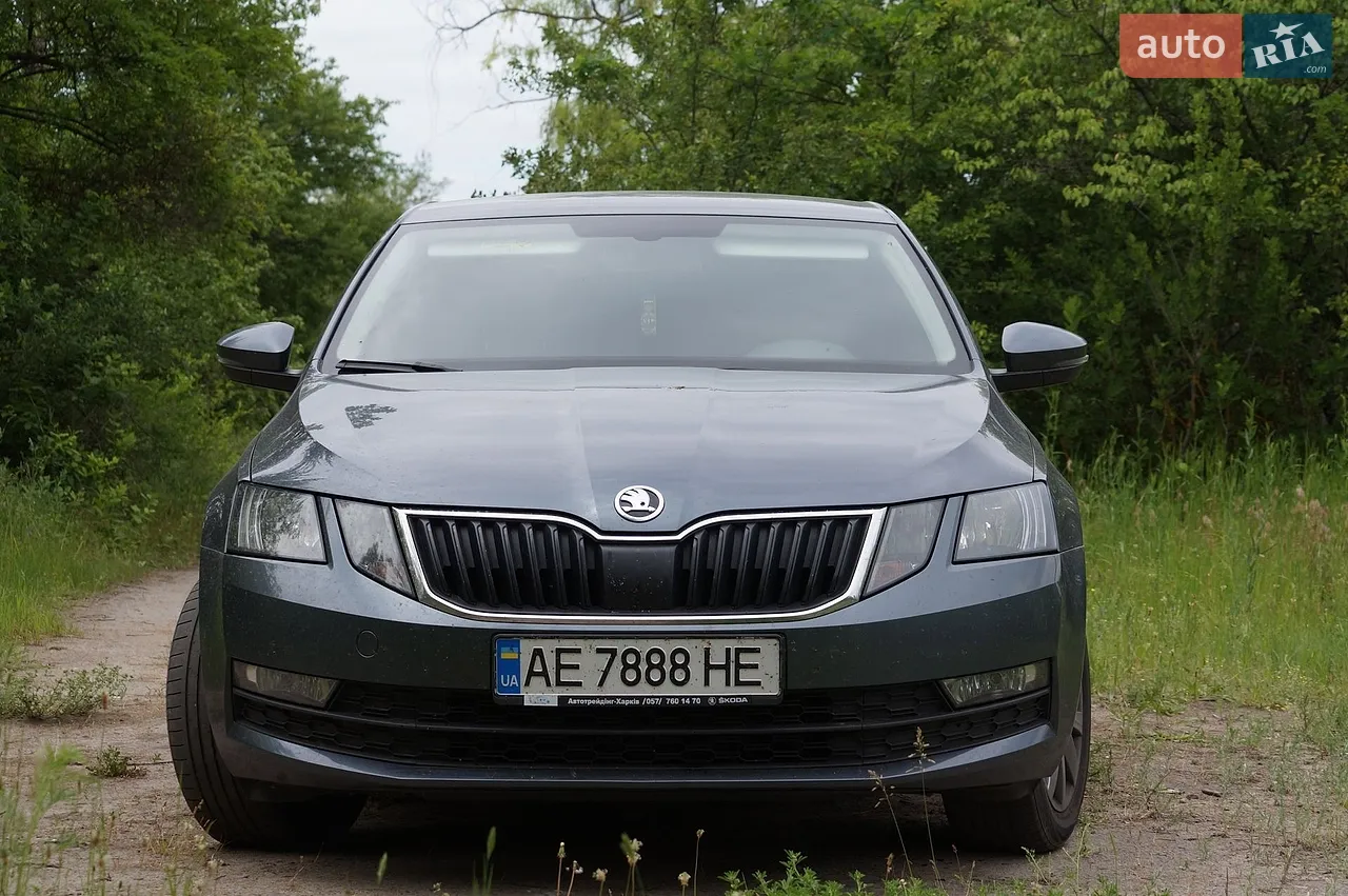2019 Skoda Octavia - мініатюра 12