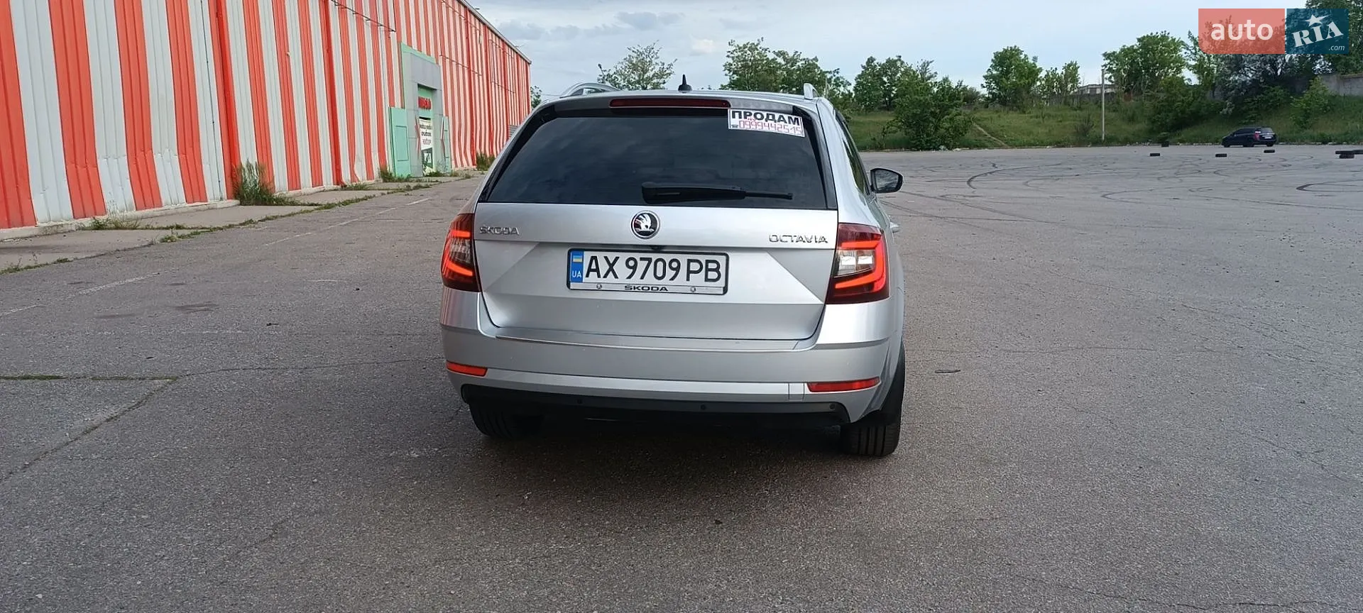 2019 Skoda Octavia - мініатюра 4