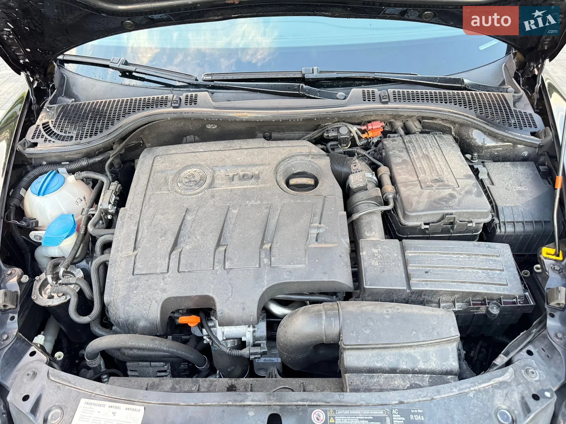 2010 Renault Kangoo - мініатюра 11