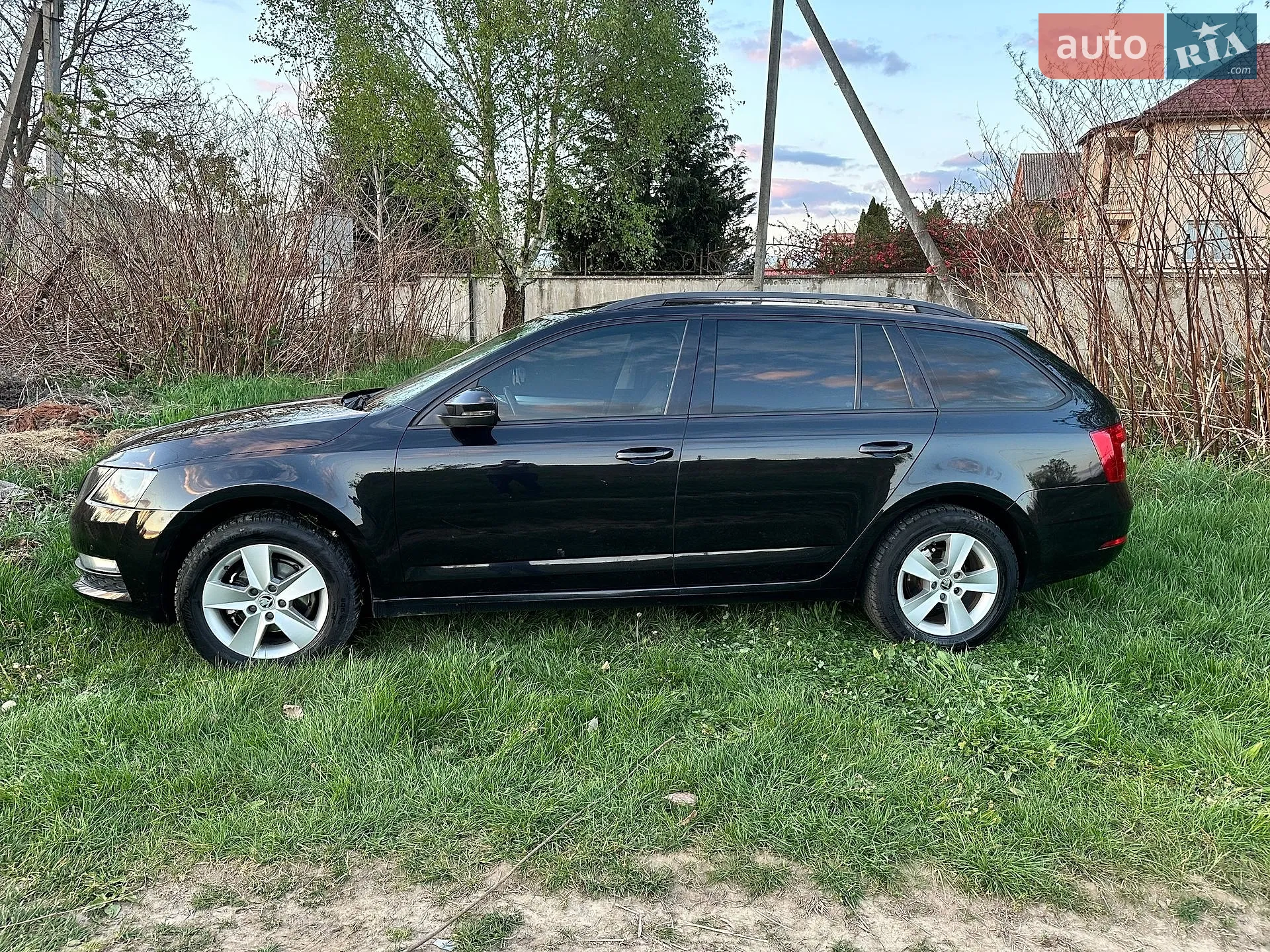 2017 Skoda Octavia - мініатюра 11