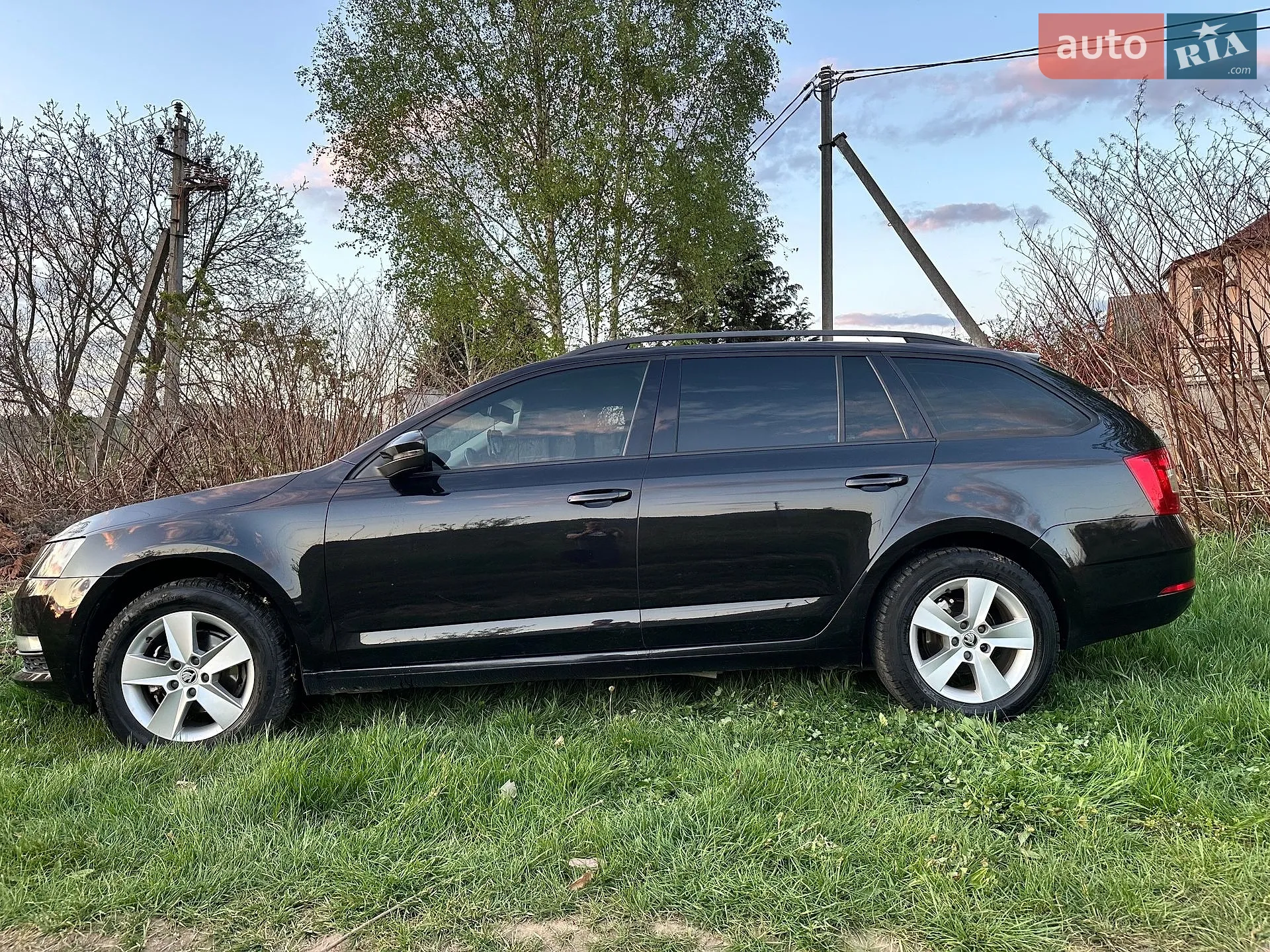 2017 Skoda Octavia - мініатюра 14