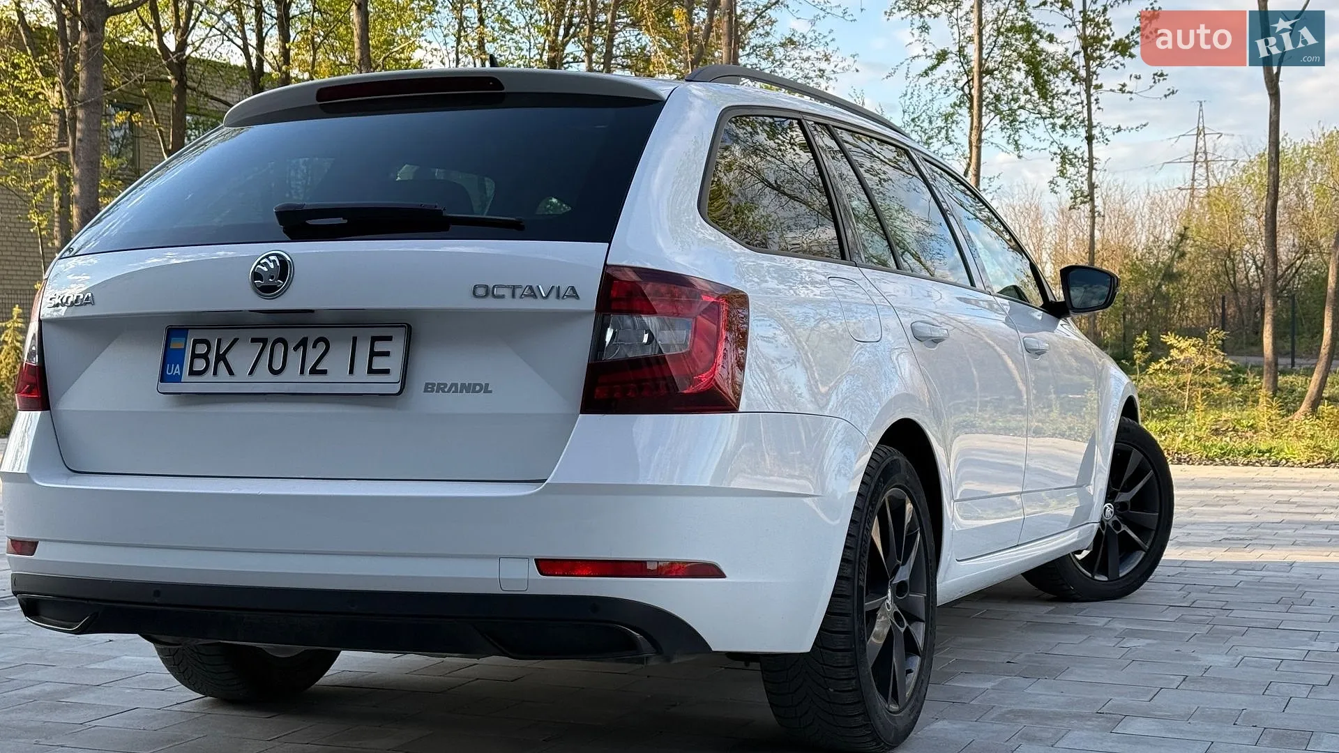 2019 Skoda Octavia - мініатюра 7