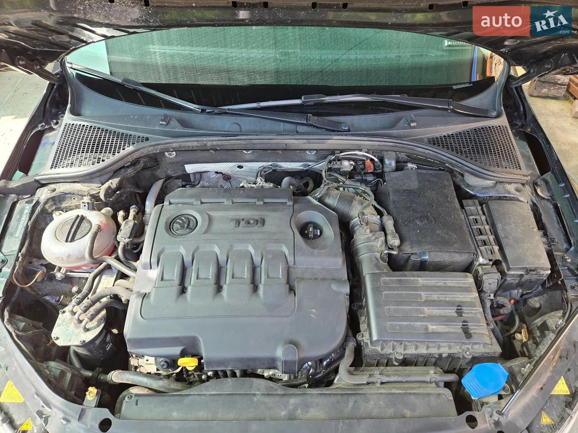 Skoda Octavia 2016 VIN TMBJJ7NE7G0201080 фото оголошення 25 з 34