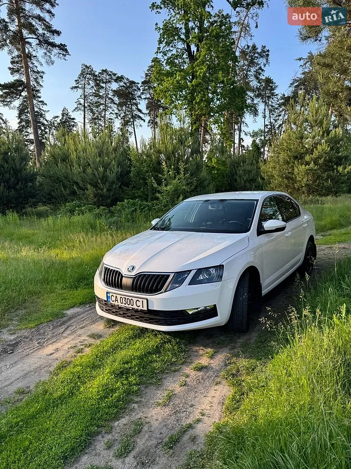 2018 Skoda Octavia - мініатюра 14