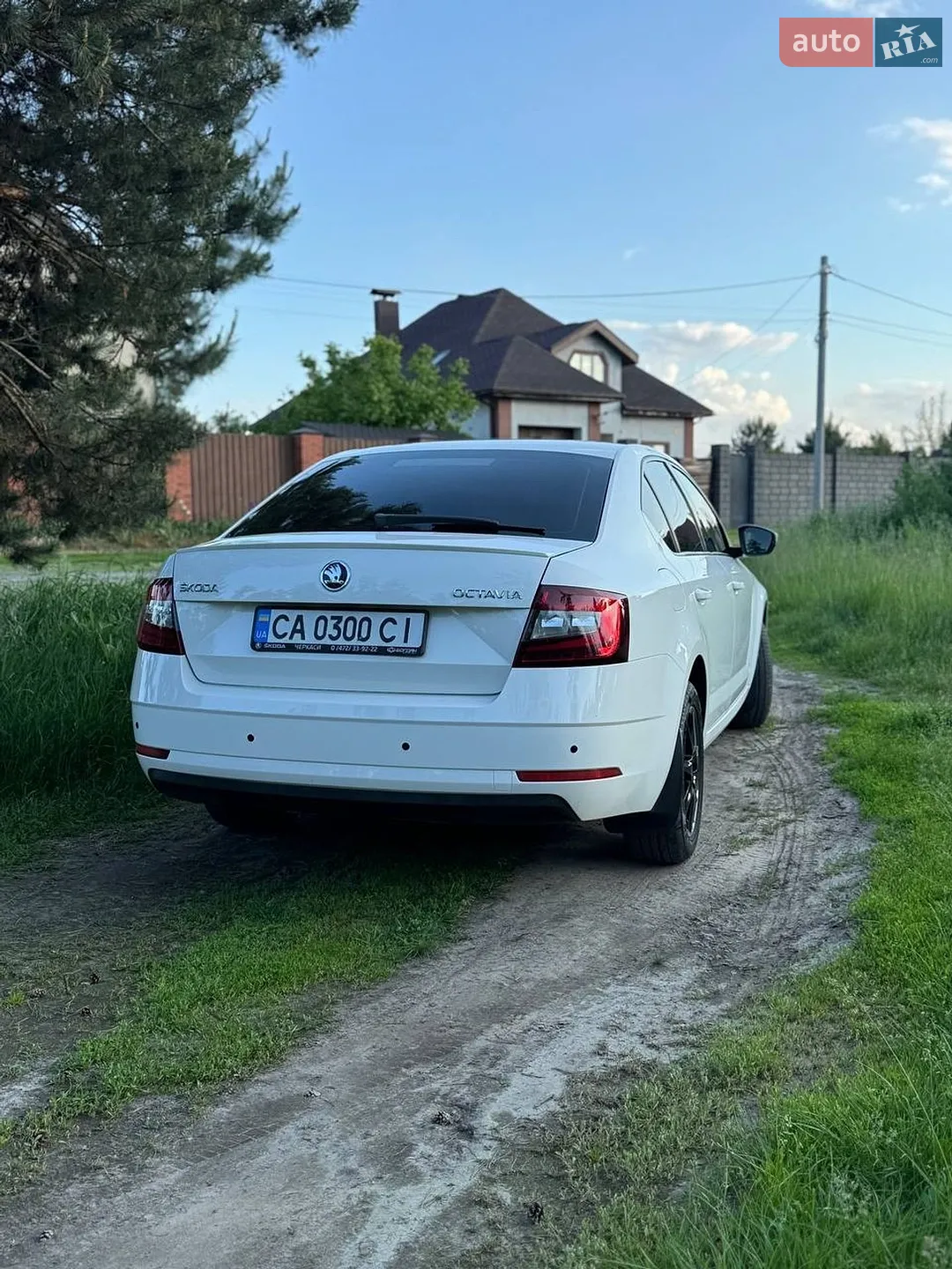 2017 Skoda Octavia - мініатюра 9