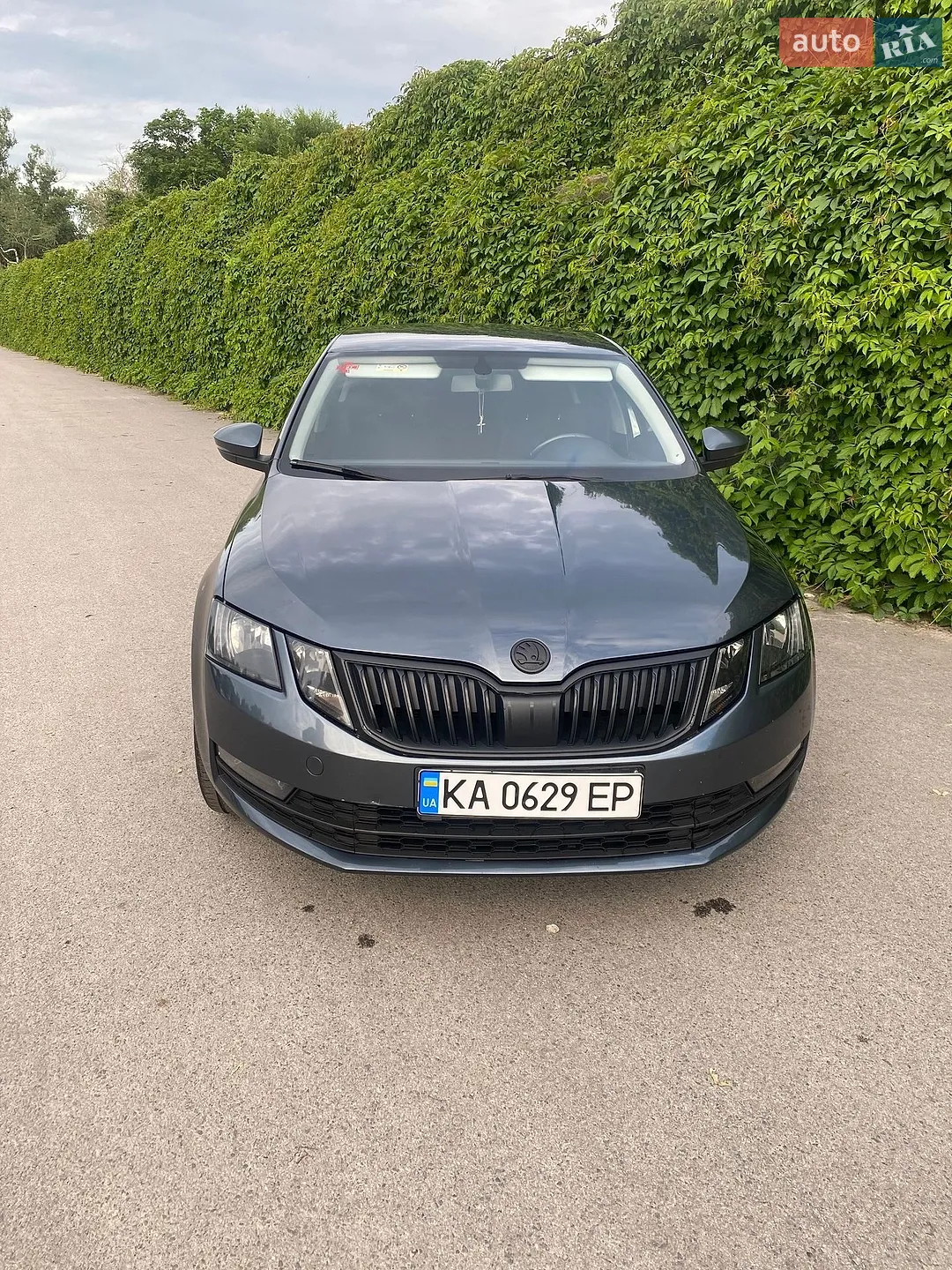 2017 Skoda Octavia - мініатюра 4