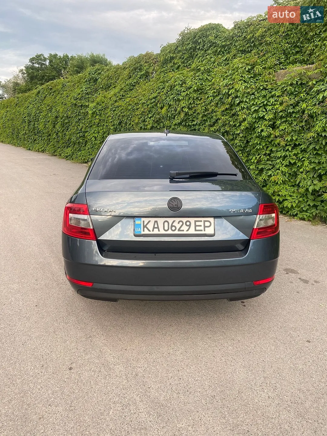 2017 Skoda Octavia - мініатюра 8