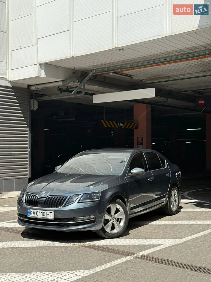 2017 Skoda Octavia - мініатюра 47